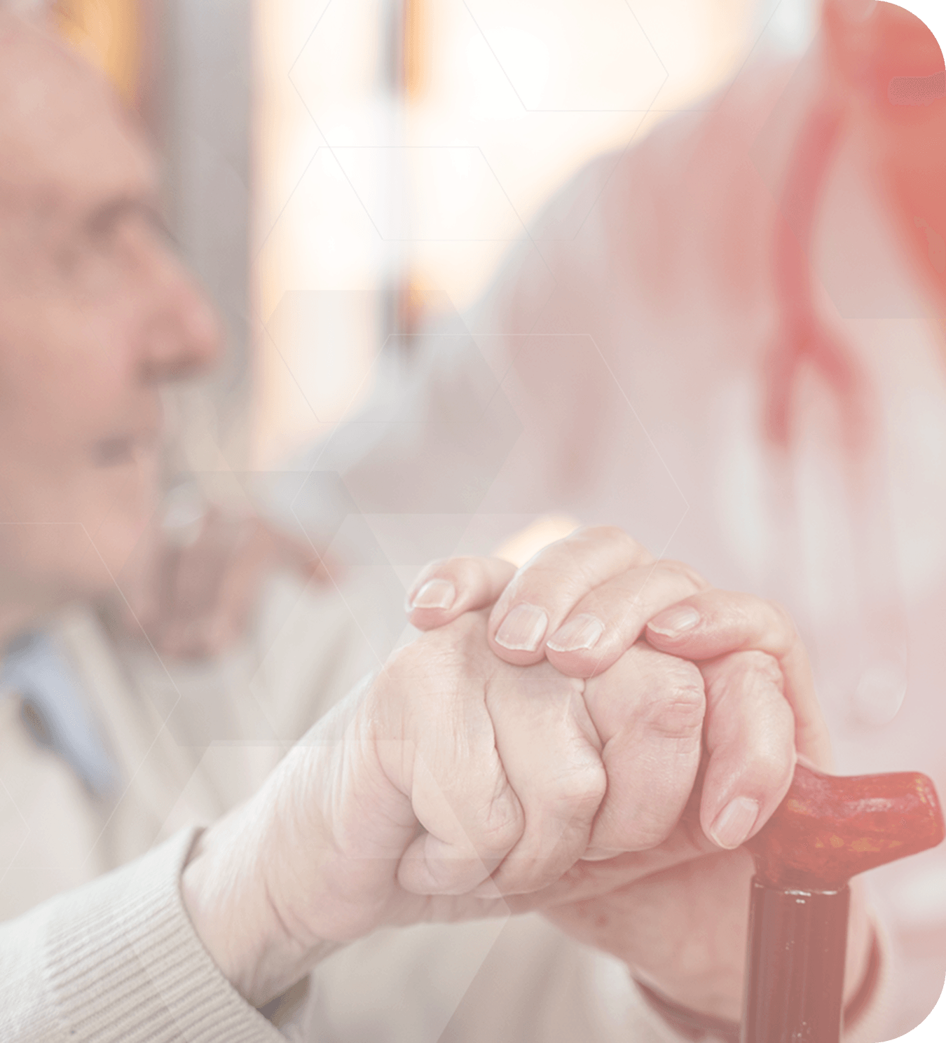 Background institucional